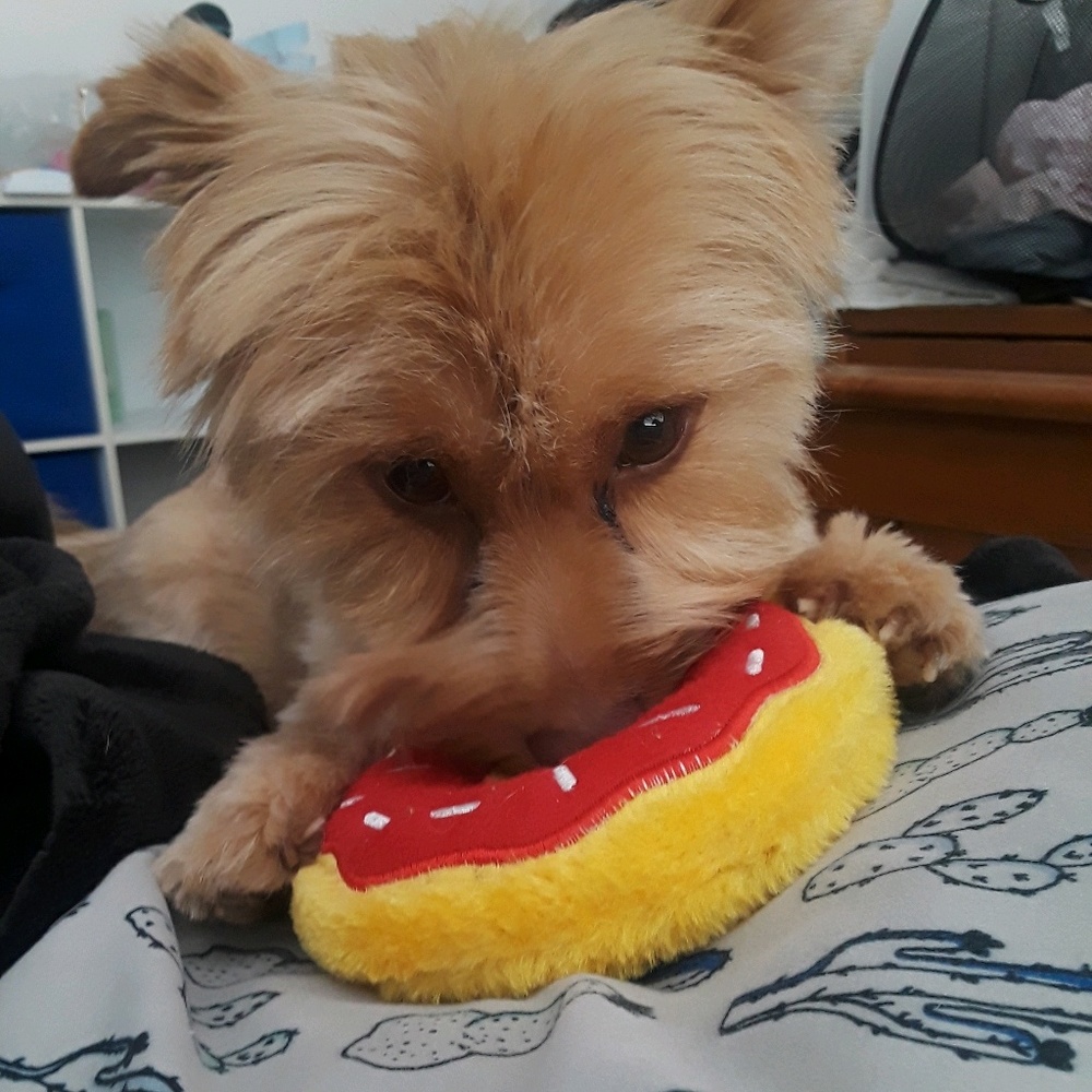 Meet your Posher, Kelly